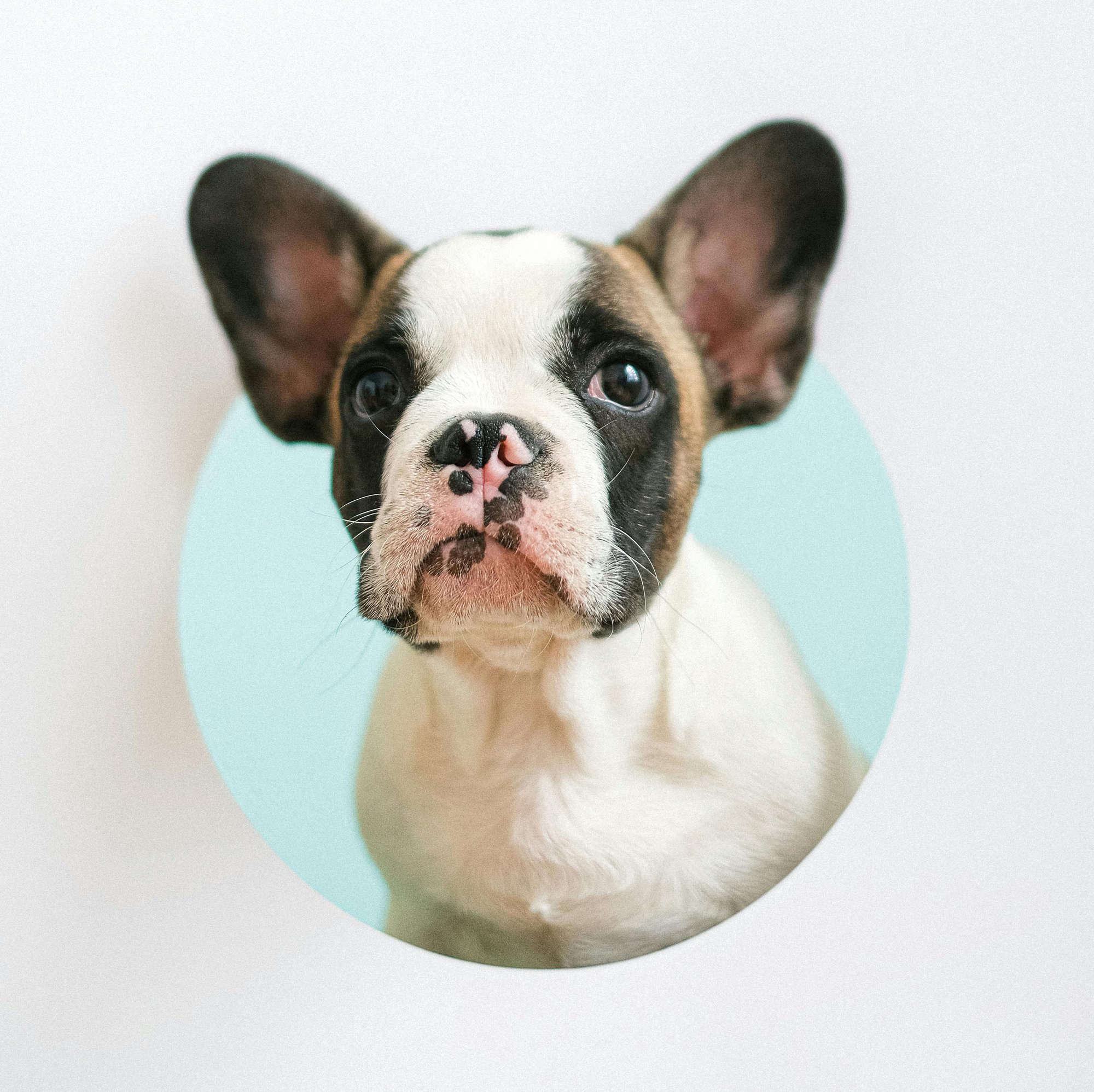 pexels-shvetsa-4587994